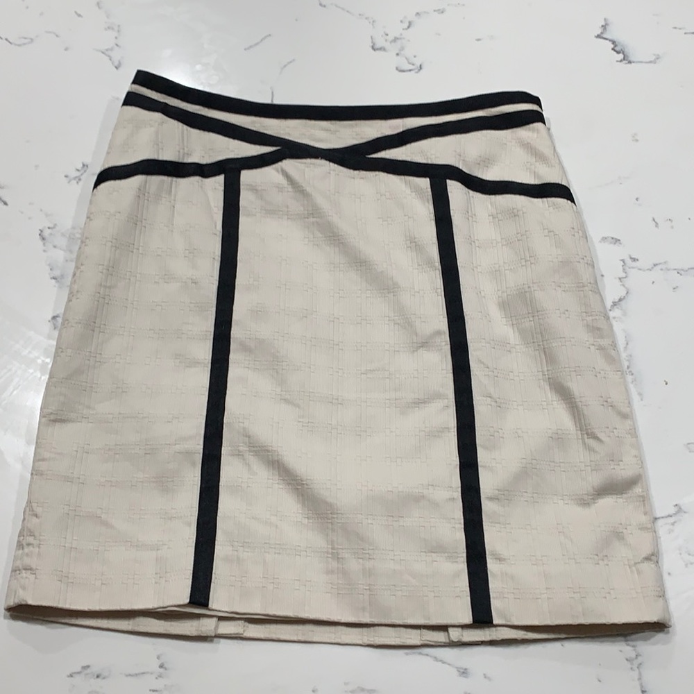 Ann Taylor skirt